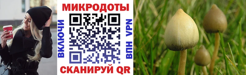Псилоцибиновые грибы прущие грибы  Купить  Ряжск 